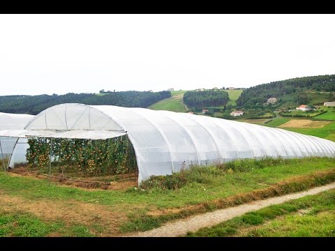 Innovaciones en Tecnología de Iluminación en Coruña